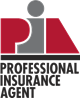 Professional Insurance Agent